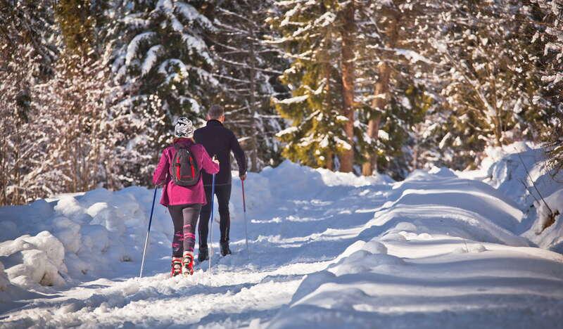 Dwie osoby na trasie narciarstwa biegowego w lesie.