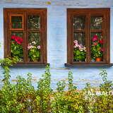 Zbliżenie na pomalowaną na niebiesko ścianę drewnianego domu z dwoma drewnianymi oknami, w których na parapetach stoją kwiaty, w prawym dolnym rogu logo Małopolski i napis Zasmakuj w podróży
