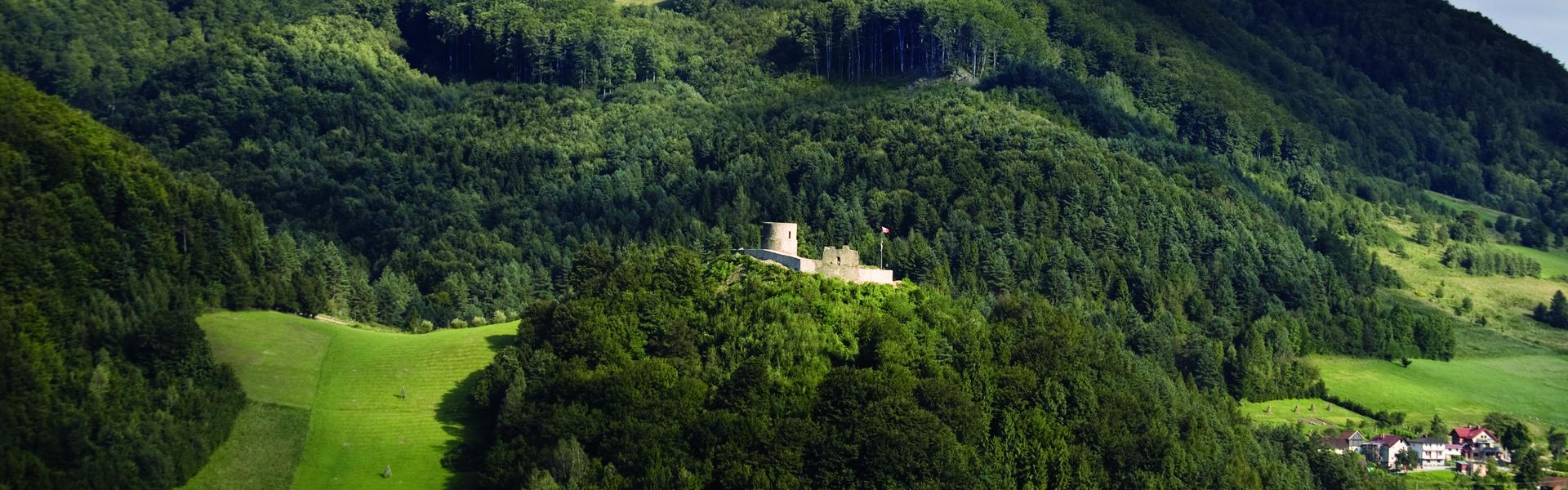 Ruiny zamku z oddali na tle zalesionych wzgórz.