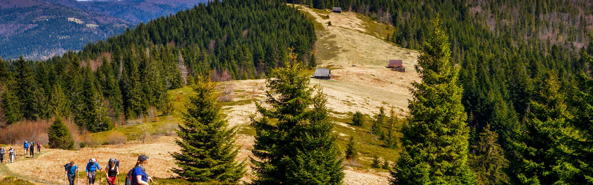 eine Lichtung auf der Spitze des Hügels, umgeben von Wäldern, einem sichtbaren Pfad und einer Hirtenhütte in der Ferne
