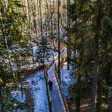 Drewniane Leśne Molo w Starym Sączu, znajdujące się pomiędzy drzewami. Gdzieniegdzie leży jeszcze śnieg.
