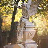 Kamienna rzeźba anioła na nagrobku. W tle korony drzew przez które prześwitują promienie słoneczne.