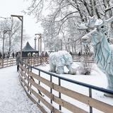 Imagen: Lodowisko Ice Park Kraków