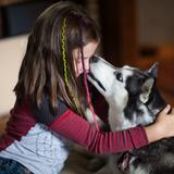 Zdjęcie przedstawia psa rasy husky liżącego dziewczynkę po twarzy w ramach dogoterapii.