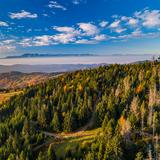 Na pierwszym planie zdjęcie przedstawia tereny okalające wieżę widokową na Gorcu jak i samą wieżę wystającą ponad czubki drzew iglastych rosnących na zboczach i samym szczycie. W tle dostrzec można rozciągające się pasmo górskie Tatr. Przepiękne jesienne kolory tworzą wyjątkową atmosferę tego malowniczego zdjęcia.