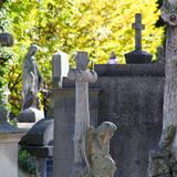 Image: Old Cemetery Tarnów