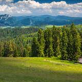 Widok na zieloną polanę, częściowo zacienioną, gdzie po prawej stronie znajduje się Bacówka Stefana Janeczka w Kacwinie. Za polaną wraz z bacówką rozciąga się las oraz liczne wzgórza i większe szczyty.