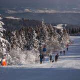 Grupa narciarzy na stacji narciarskiej Jaworzyna Krynicka, w tle widok na krajobraz miejscowości