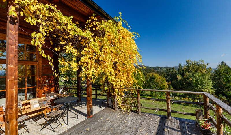 Drewniany taras, gdzie pośrodku z dachu zwisają żółte pnącza roślin. Po lewej stronie werandy stoi kilka krzeseł oraz stolik. A po prawej roztacza się widok na niebieskie niebo oraz zielone drzewa.
