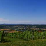Widok na uprawy i Dolinę Dunajca