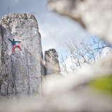 Zbliżenie na wapienną skałę w Jerzmanowicach, po której wspina się wspinacz