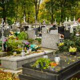Изображение: Сальваторское кладбище в Кракове