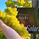 Kiść białych winogron w ręce obok tabliczki z napisem gatunku - Solaris oraz nazwą winnicy - Novi.