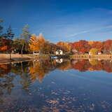 Niewielkie jeziorko z otaczającymi drzewami liściastymi w jesiennych kolorach.