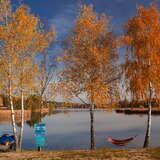 Niewielkie jezioro, plaża i drzewa liściaste w jesiennych barwach, rowerki wodne przy brzegu i hamak między drzewami.