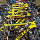 Żółte rowery górskie ustawione w rzędzie, będące w ofercie wypożyczalni.