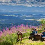 Turyści siedzący przy drewnianym stole w pobliżu schroniska na Hali Krupowej, wokół fioletowe kwiaty, w tle widok na Tatry