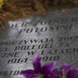 Изображение: Военное кладбище Огонув в Калисе