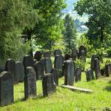 Image: Jewish Cemetery in Bobowa